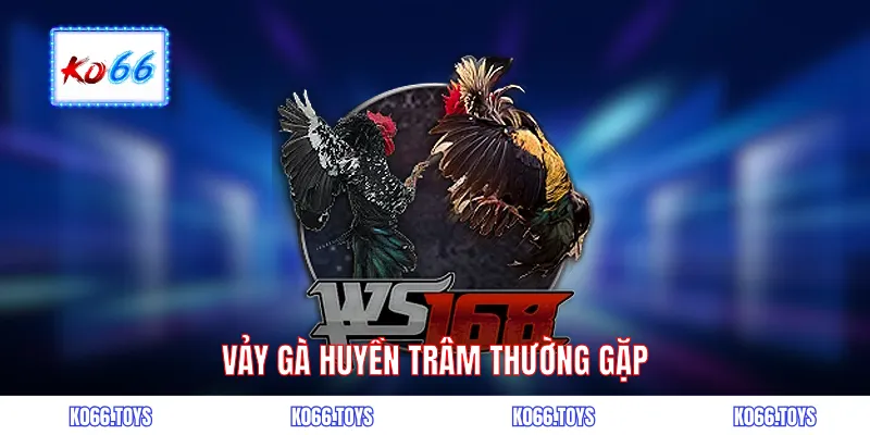 Vảy gà huyền trâm thường gặp
